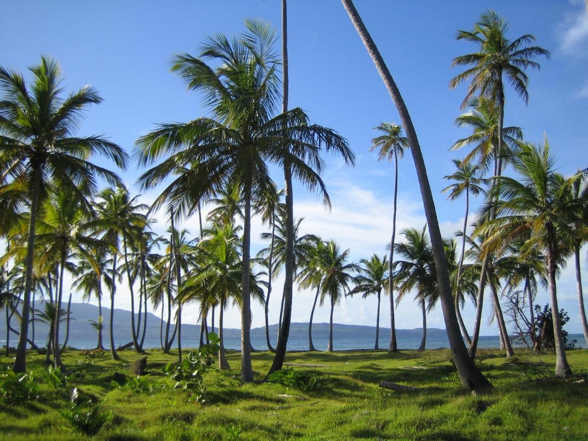 Palm-Covered House In The Tropical -Casa Oli 拉斯加勒拉斯 外观 照片