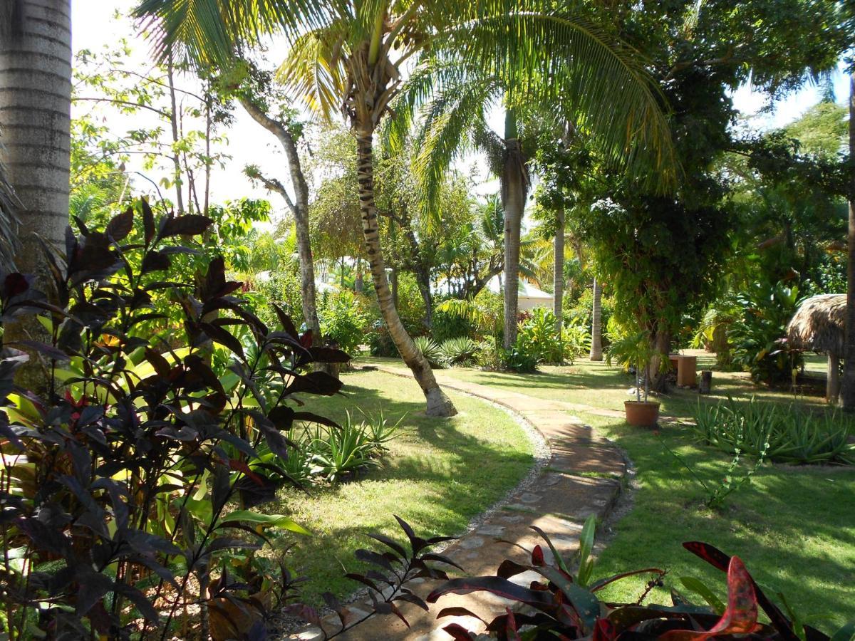 Palm-Covered House In The Tropical -Casa Oli 拉斯加勒拉斯 外观 照片